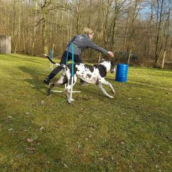 IMG-20170311-WA0016.jpg