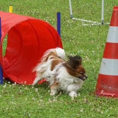 DSC08537.JPG