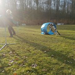 IMG-20170311-WA0010.jpg