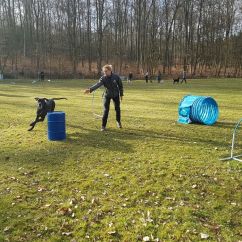 IMG-20170311-WA0015.jpg