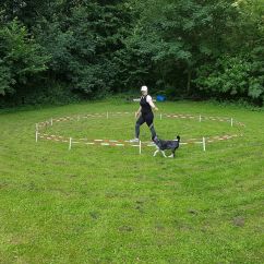 IMG-20170807-WA0018.jpg