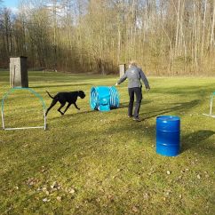 IMG-20170311-WA0013.jpg