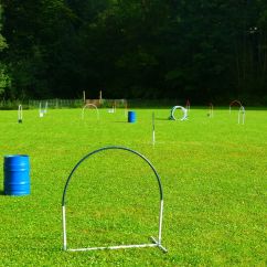 hoopers-agility.JPG