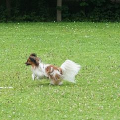 DSC08557.JPG