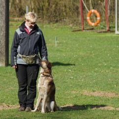 gehorsamstraining.jpg