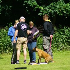 DSC09236.jpg