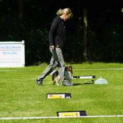 ralley-obedience.jpg
