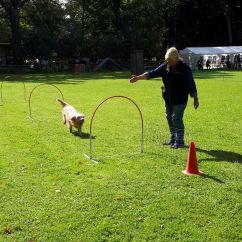 20170902_143154.jpg